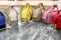 Delvaux Coolbox Nano 新色到~~~ 代購照片